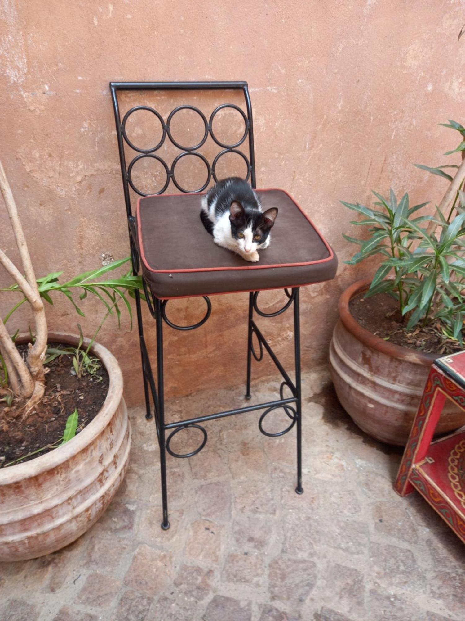 Juli'S Bed and Breakfast Marrakesh Eksteriør billede